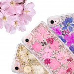 Wholesale iPhone 8 / 7 / 6S / 6 Luxury Glitter Dried Natural Flower Petal Clear Hybrid Case (Silver Pink)